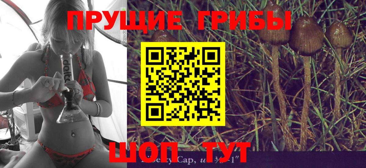 Клинцы  Псилоцибиновые грибы мухоморы  купить наркоту  Вход с VPN 