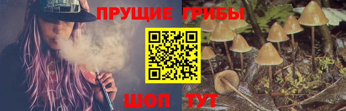 Галлюциногенные грибы GOLDEN TEACHER Клинцы